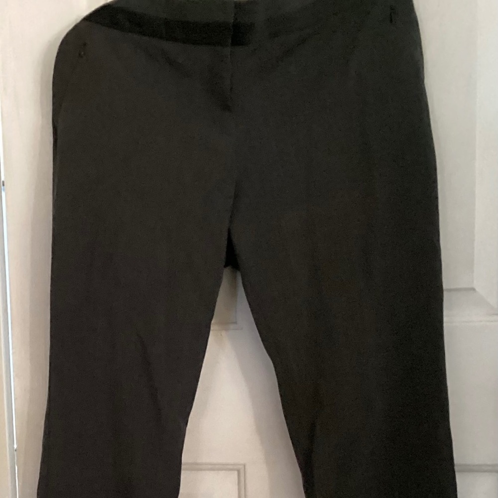 Express columnist dark gray 14 Long with black stripe at waist - Picture 7 of 8